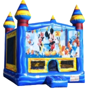 Mickey Mouse Arctic 13x13 Fun House