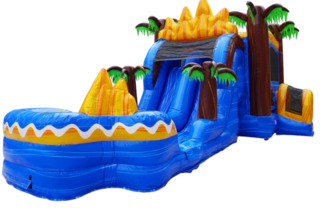 Oasis Dual Lane Dry Combo Large Slide