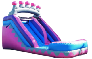 Princess 14ft Wasterslide