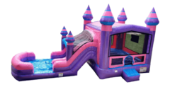 Purplish Dual Lane Combo Water Slide