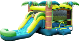 Tropical Combo 4 in 1 Bouncer dry