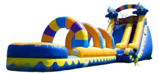 Dolphin 18ft Waterslide with Slip and Slide - 48 Feet Long