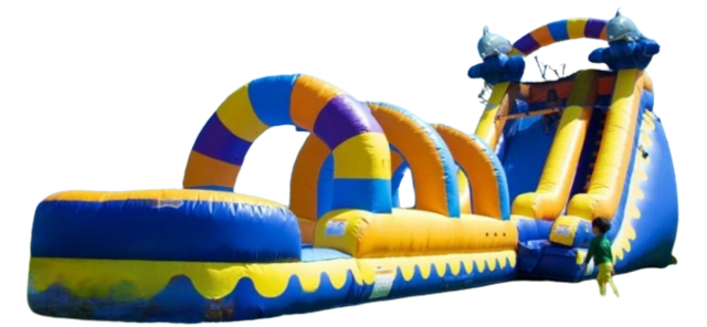 Dolphin 18ft Waterslide with Slip and Slide - 48 Feet Long
