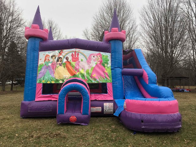 Princess Party Combo - Wet or Dry