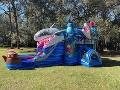 Shark Attack Wet or Dry Bounce & Slide Combo