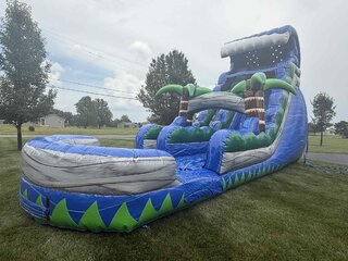20' Palm Tree Plunge