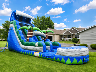20' Palm Tree Plunge Water Slide
