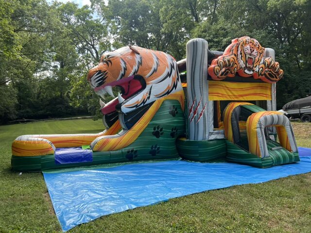 Who Dey's Roar & Soar