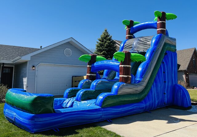 19 ft Palm Tree Slide (Wet or Dry)