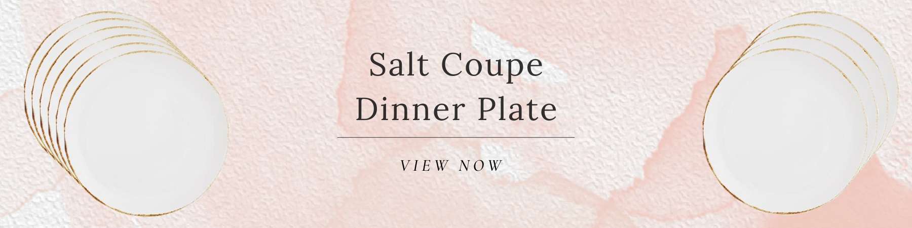 Salt Coupe Dinner Plate