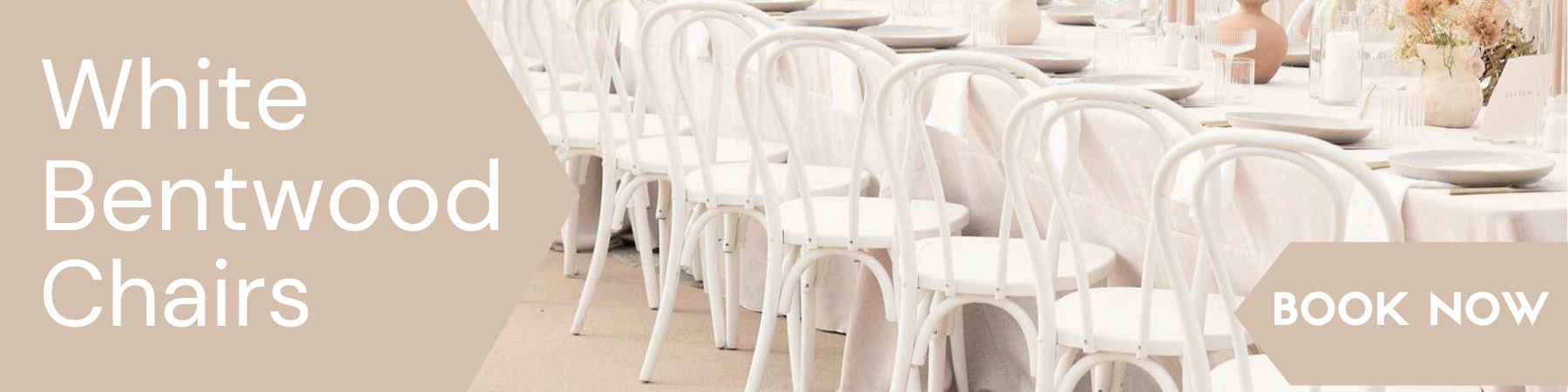 White Bentwood Chair Rentals