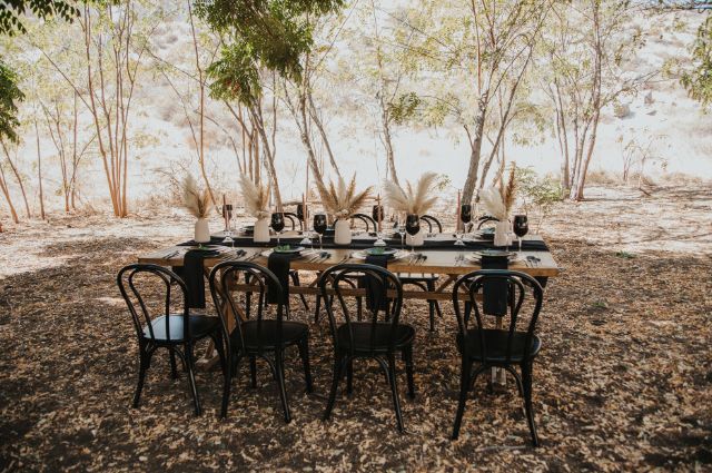 Palm Springs Black Bentwood Chair Rental Palm Springs Black Bentwood Chair Rental