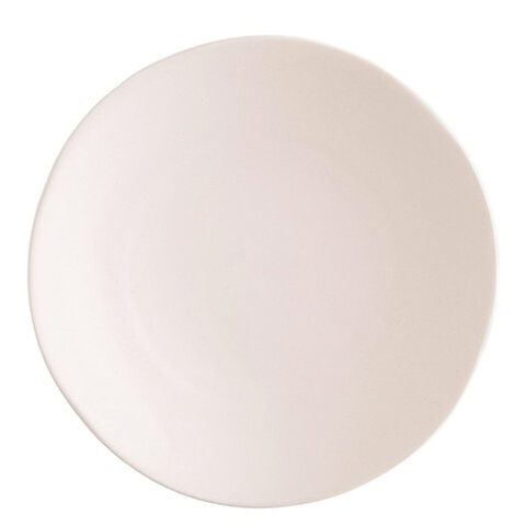 Dinnerware - Blush Stoneware Dinner Plate (5 Pack)