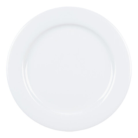 Classic Dinner Plate (10 Pack)
$.75 each
 