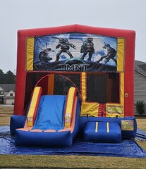 TMNT Party Time Combo