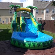 15 ft Palm Tree Water Slide With Pool