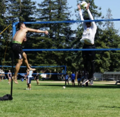 Volleyball
