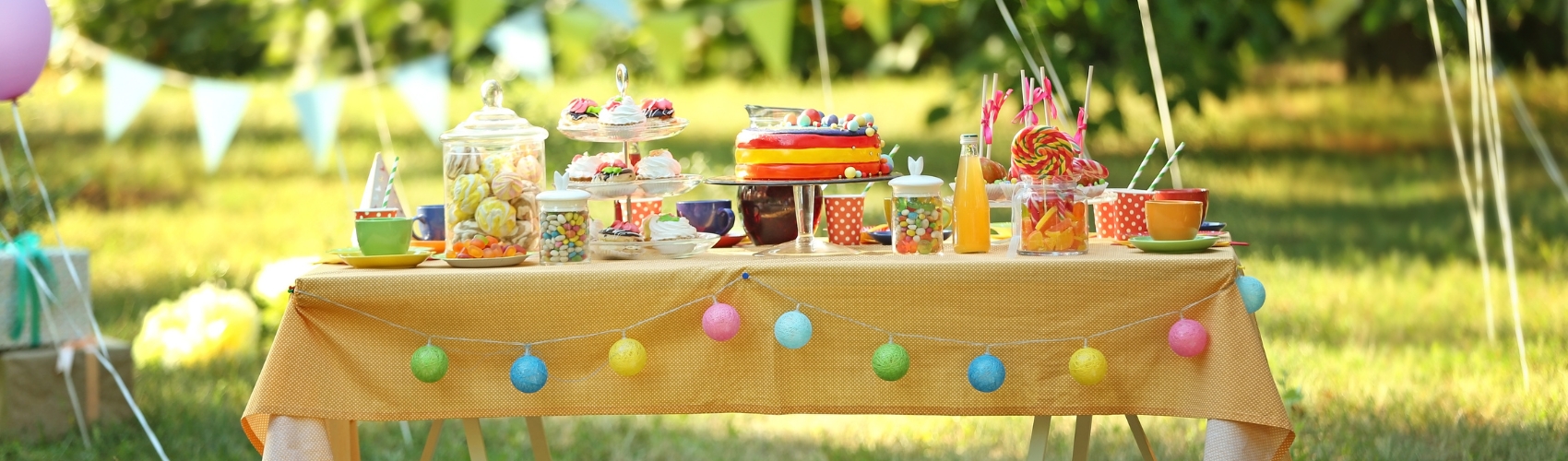 Outdoor party in sacramento park