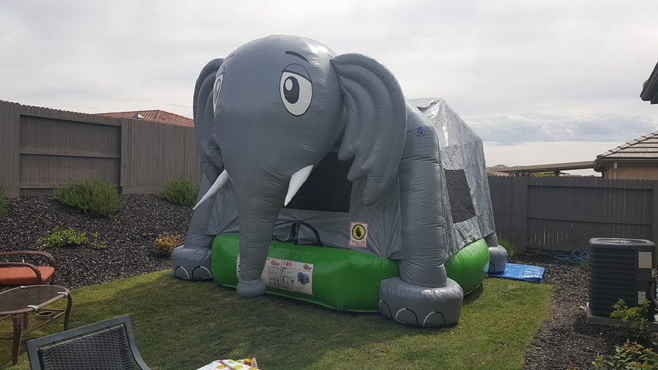 themed bounce house rentals themed bounce house rentals