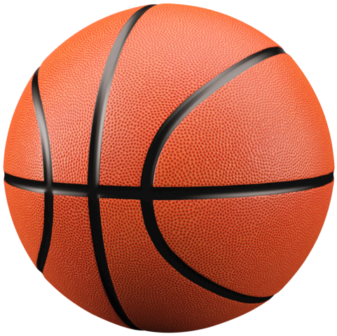 Basket Ball Rental