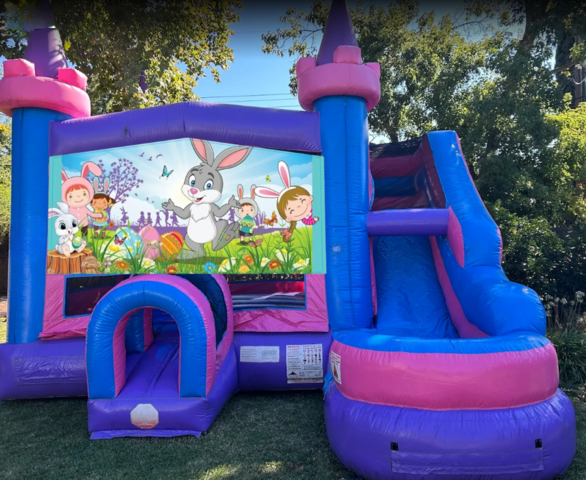 Easter Bunny Princess Jumper and Slide