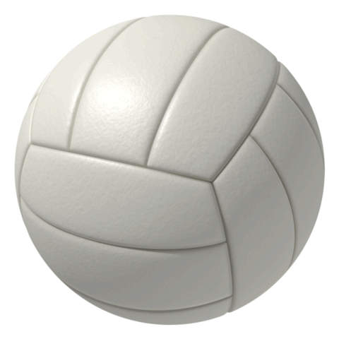 Volley Ball Rental