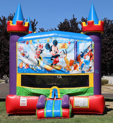 Mickey Magic Castle