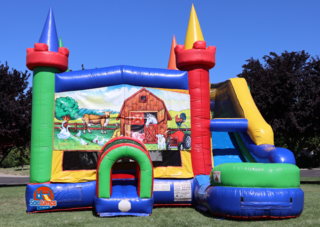 Barnyard Party Jumper and Slide