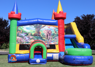 Safari Party Jumper and Slide