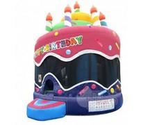 Birthday Cake Bouncer 15x15 Birthday Cake Bouncer 15x15