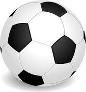 Soccer Ball Rental