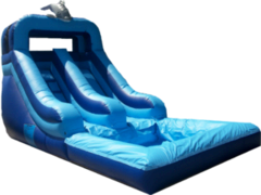 Dolphin Water Slide with large Pool for children 10 and younger 