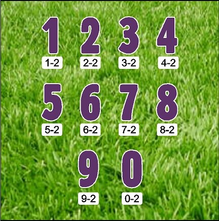 Number Set-1 - violet 24