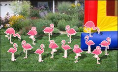 Flamingos -1 - Large