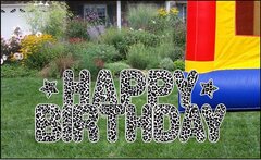 Happy Birthday Letters Kit - Leopard