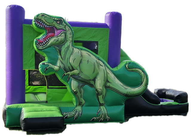 Dinosaur Jumper with Slide