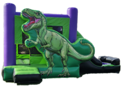 Dinosaur Jumper with Slide