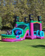 Level Up Gamer bounce house, slide. 