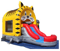Cat Slide