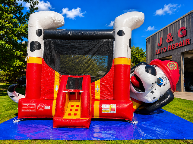 17 X 25 Dalmatian Belly Bouncer