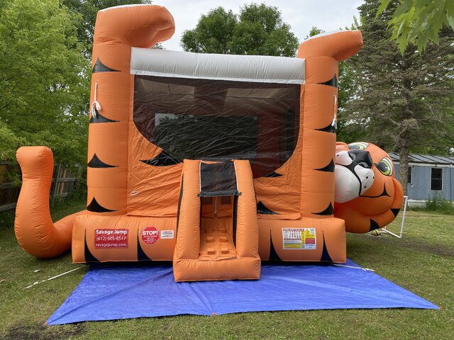 16 X 25 Tiger Belly Bouncer