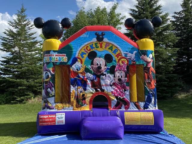 Mickey Mouse Park  Bounce