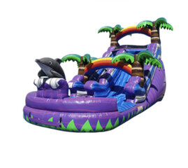 <font color='#FA58AC'><font face='impact'><b>'15ft Dolphin Paradise Wet'</b></font></font>