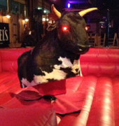 Mechanical Bull