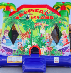 Tropical Island 4-1 Combo Wet/Dry