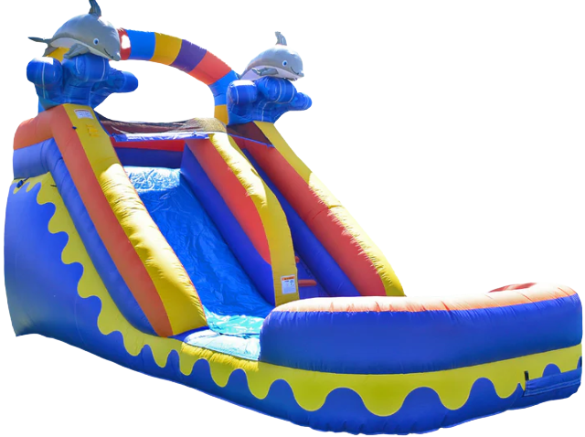 14Ft Dolphin Waterslide