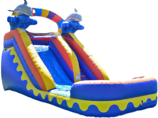 14Ft Dolphin Waterslide