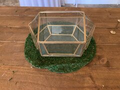 Terrarium Box with Envelope Slot