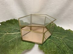 Large Box Terrarium