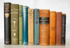 Vintage Book, large